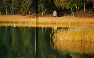 Ein See in Småland