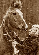 Inger Nilsson mit ihrem Pferd - von Sven Larsen - © Neue Post  1975